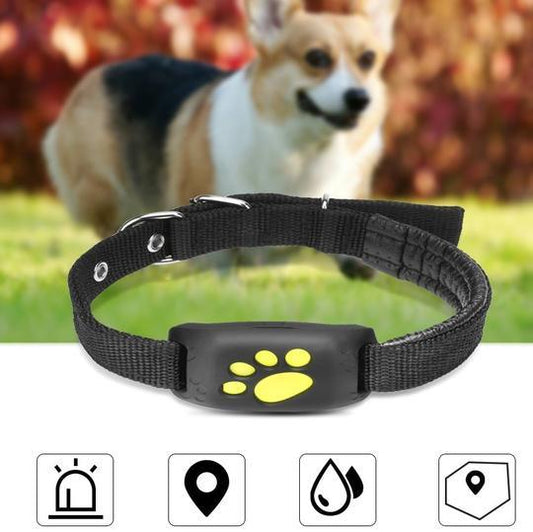 Pet Trackmaster: The Ultimate Gps Pet Tracker